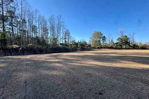 390 Acosta Cir, Conway, SC 29527 - Photo 23