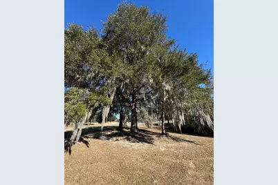 437 Rosebank Rd., Georgetown, SC 29440 - Photo 3