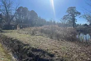 4860 Hwy 378, Conway, SC 29527 - Photo 3