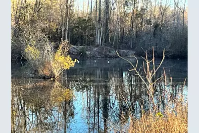 2398 Senator Gasque Hwy., Mullins, SC 29574 - Photo 7