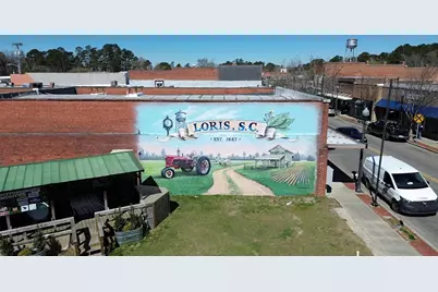 911 Farmers Passage Loop, Loris, SC 29569 - Photo 23