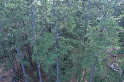 Tbd Old Georgetown Hwy., Andrews, SC 29510 - Photo 5