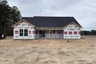 374 3 Curve Rd, Loris, SC 29569 - Photo 5