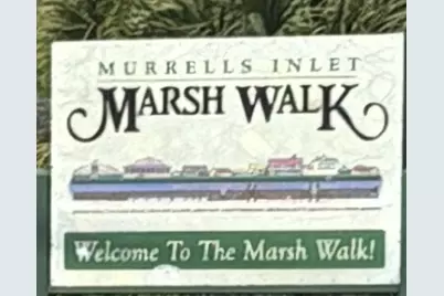 163 Glengrove Lane, Murrells Inlet, SC 29576 - Photo 31