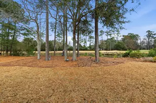 4566 Fringetree Dr, Murrells Inlet, SC 29576 - Photo 23