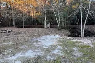 904 Cox Ferry Cir, Conway, SC 29526 - Photo 15