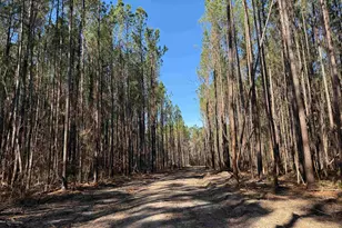 31 40 Acres-Tbd Pennyroyal Rd, Georgetown, SC 29440 - Photo 1