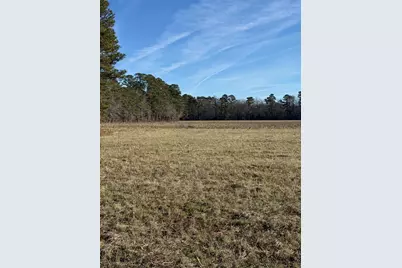 Lot 4 Johnson Shelley Rd., Conway, SC 29526 - Photo 5