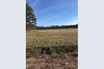 Lot 4 Johnson Shelley Rd., Conway, SC 29526 - Photo 1