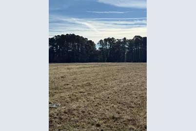 Lot 8 Johnson Shelley Rd., Conway, SC 29526 - Photo 3