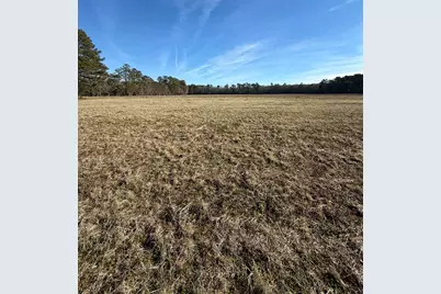 Lot 9 Johnson Shelley Rd., Conway, SC 29526 - Photo 7