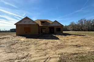 Tract 2 Hwy 668, Conway, SC 29526 - Photo 1