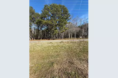 Tract 2 Highway 668, Conway, SC 29526 - Photo 3