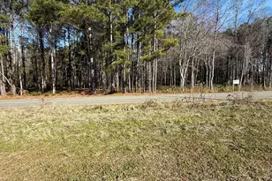 Tract 2 Hwy 668, Conway, SC 29526 - Photo 3