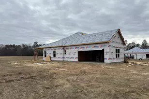 Tract 2 Hwy 668, Conway, SC 29526 - Photo 13