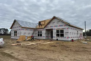 Tract 3 Hwy 668, Conway, SC 29526 - Photo 11