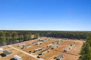 2265 Python Cir, Conway, SC 29526 - Photo 33