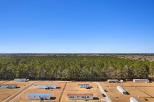 2265 Python Cir, Conway, SC 29526 - Photo 31