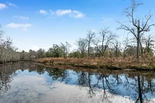 Tbd Reds Landing Rd, Andrews, SC 29510 - Photo 1