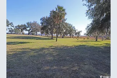 302 Chaff Ct., Georgetown, SC 29440 - Photo 21