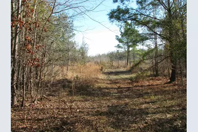 0 Keystone Rd., Dalzell, SC 29040 - Photo 21