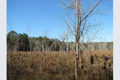 0 Keystone Rd., Dalzell, SC 29040 - Photo 19