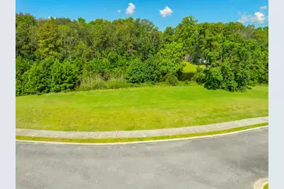 Tbd Grassland Ln., Georgetown, SC 29440 - Photo 5