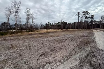 118 Nell Ct, Loris, SC 29569 - Photo 21
