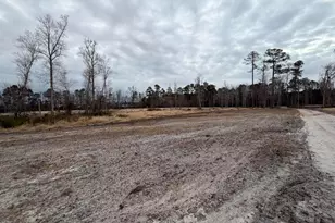 118 Nell Ct, Loris, SC 29569 - Photo 21