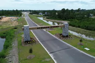 8031 Bear Claw Wy, Conway, SC 29526 - Photo 17