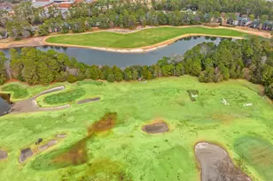 1135 Blue Stem Dr, Pawleys Island, SC 29585 - Photo 29
