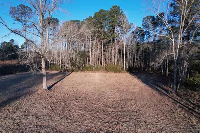 Tbd Samuels Ave, Salters, SC 29590 - Photo 3