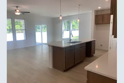 304 Palmetto Sand Loop, Conway, SC 29527 - Photo 3