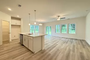 268 Palmetto Sand Loop, Conway, SC 29527 - Photo 3