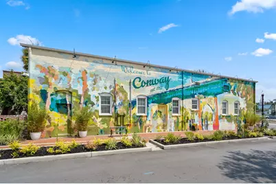 268 Palmetto Sand Loop, Conway, SC 29527 - Photo 25