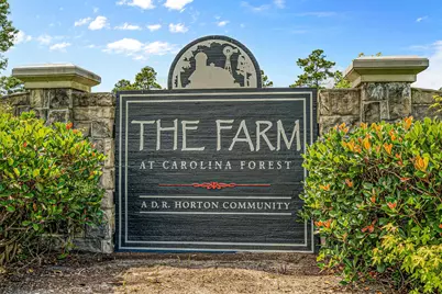 5589 Plantersville Pl., Myrtle Beach, SC 29579 - Photo 45