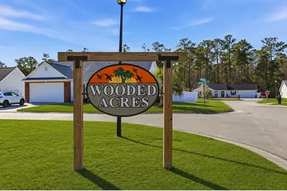 1193 Jumper Trail Circle, Myrtle Beach, SC 29588 - Photo 29