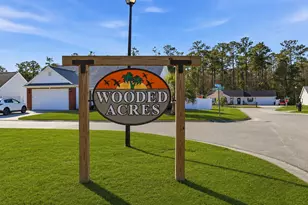 1193 Jumper Trail Cir, Myrtle Beach, SC 29588 - Photo 29