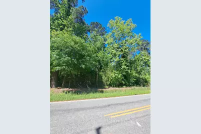 Tbd Lot B Bucksport Rd., Conway, SC 29527 - Photo 5