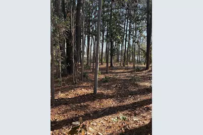 Tbd Mineola Ave., Little River, SC 29566 - Photo 5