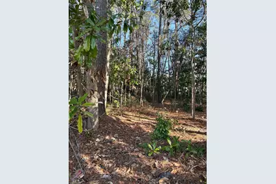 Tbd Mineola Ave., Little River, SC 29566 - Photo 7