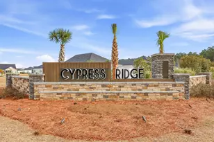 534 Cypress Preserve Cir, Longs, SC 29568 - Photo 41