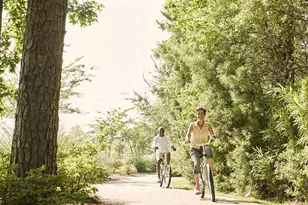 424 Sea Breeze Way, Longs, SC 29568 - Photo 25