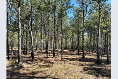 Lot 6 - Tbd Old Camp Ln., Salters, SC 29590 - Photo 1