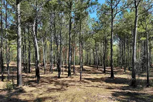 Lot 6 - Tbd Old Camp Ln, Salters, SC 29590 - Photo 1