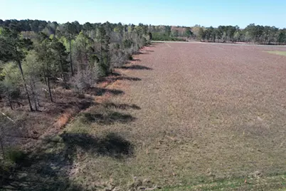 Lot 34-Tbd Gulley Ln., Salters, SC 29590 - Photo 3