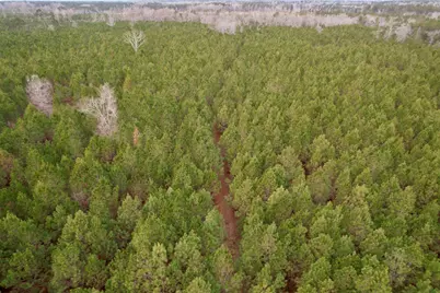 106.6 Acres-Tbd Highway 52, Salters, SC 29590 - Photo 47