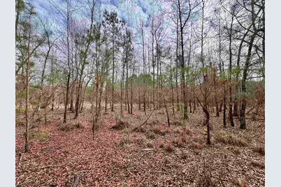 106.6 Acres-Tbd Highway 52, Salters, SC 29590 - Photo 21