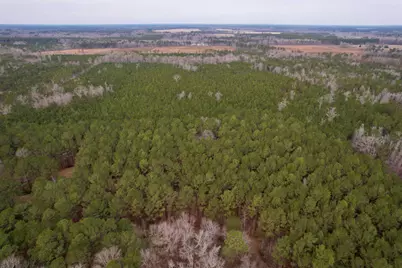 106.6 Acres-Tbd Highway 52, Salters, SC 29590 - Photo 43