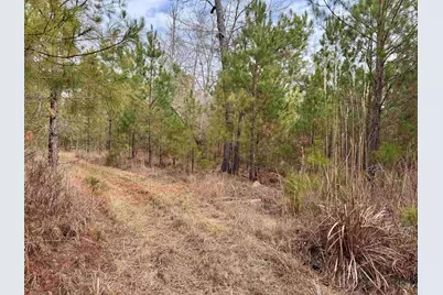 106.6 Acres-Tbd Highway 52, Salters, SC 29590 - Photo 7